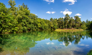 Lago cerca de Zeist, Utrechtse Heuvelrug, Utrecht, Países Bajos