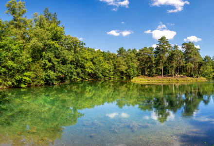 Lago cerca de Zeist, Utrechtse Heuvelrug, Utrecht, Países Bajos