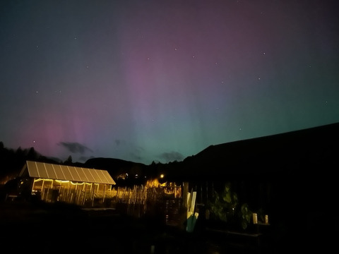 Glamping Brokkestøylen Domes en Agder, tente illuminée sous les aurores boréales dans la nuit paisible.