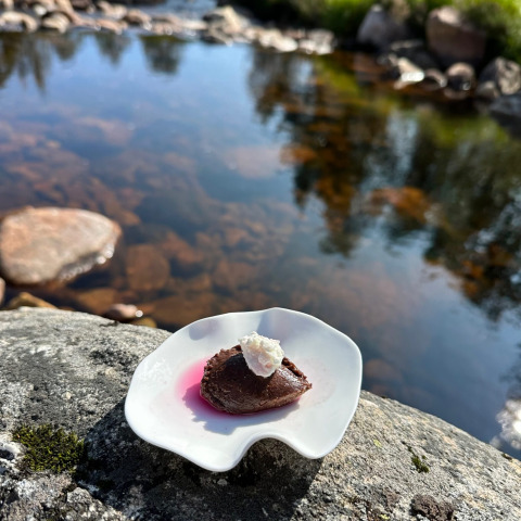 Un dessert raffiné à Brokkestøylen - Domes in Agder, présenté près d'une rivière claire dans la nature.