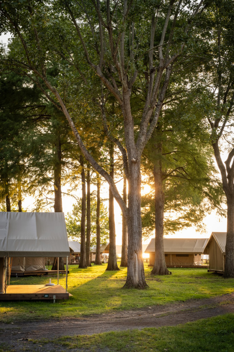 Alloggi glamping Huttopia Lac d’Aureilhan – Mimizan in Nouvelle-Aquitaine, tende tra alberi al tramonto.