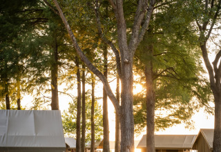 Glamping tents at Huttopia Lac d’Aureilhan – Mimizan in Nouvelle-Aquitaine, among trees at sunset.