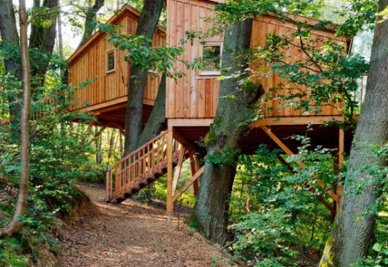 Treehouse glamping accommodation at Wipfelglück Baumhaushotel, nestled among lush forests in Bavaria, Germany.