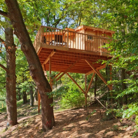 Boomhutaccommodatie Wipfelglück Baumhaushotel - Boomhut Beieren, glamping tussen de bomen in Beieren.