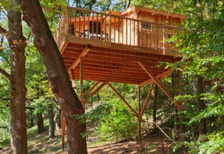 Alojamiento en casa del árbol Wipfelglück Baumhaushotel - Boomhut Beieren, glamping en los árboles.