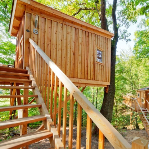 Hébergement dans une cabane dans les arbres au Wipfelglück Baumhaushotel, escalier en bois en forêt bavaroise.