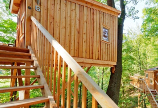 Treehouse accommodation at Wipfelglück Baumhaushotel with wooden stairs, nestled in a lush forest in Bavaria.
