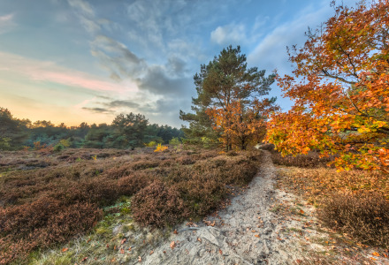 Naturaleza otoñal, Drenthe, Países Bajos