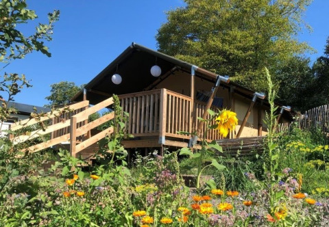 Hébergement glamping Camping Groß-Eichen, tente safari et fleurs sauvages ensoleillées à Hesse, Allemagne.