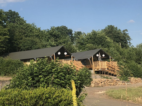 Zwei luxuriöse Safarizelte auf Camping Groß-Eichen in Hessen, umgeben von Bäumen und Natur im Sommer.