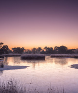Maasduinen, Limburgo, Países Bajos