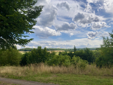 Paysage verdoyant près de Camping Groß-Eichen - Safaritenten Hessen sous un ciel nuageux et lumineux.