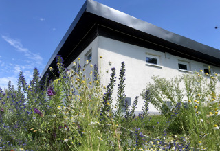 Sistemazione glamping moderna presso Camping Groß-Eichen - Safaritenten Hessen, circondata da fiori selvatici.