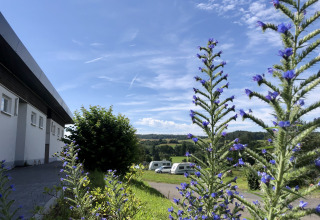 Vue du camping Camping Groß-Eichen avec des fleurs violettes au premier plan et des caravanes à l’arrière-plan par temps ensoleillé.