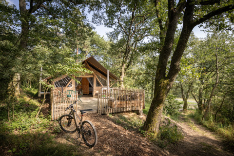 Glampingophold i Village Huttopia Pays de Condrieu, Auvergne-Rhône-Alpes, med telt og cykel i skovområde.