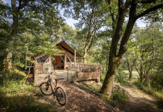 Glampingophold i Village Huttopia Pays de Condrieu, Auvergne-Rhône-Alpes, med telt og cykel i skovområde.