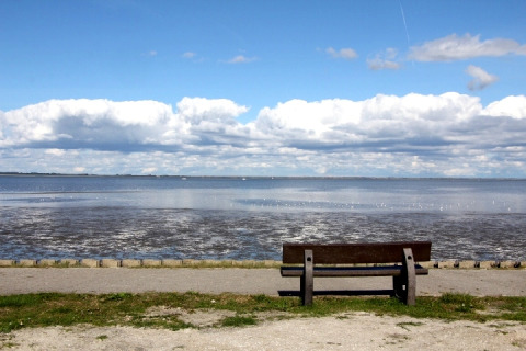 En bænk ved havet på Campingplatz am Nordseestrand - Zigeunerwagen Oost-Friesland glamping-sted.