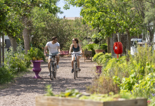 Twee mensen fietsen op een groen pad bij Camping Beauregard Plage - Glamping Languedoc-Roussillon in de natuur.