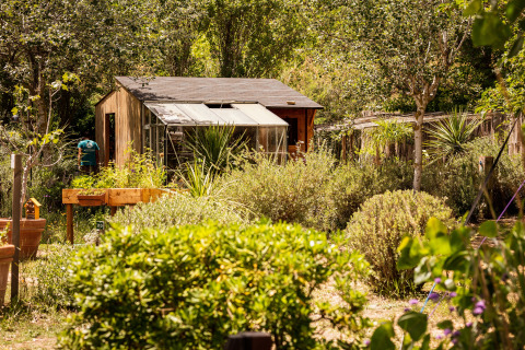 Lush garden setting with cabin and greenhouse at Camping Beauregard Plage - Glamping Languedoc-Roussillon.