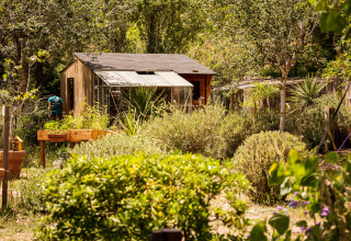 Grønt område med skur og drivhus, omgivet af træer, ved Camping Beauregard Plage - Glamping Languedoc-Roussillon.