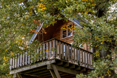 Boomhuthotel Uckermark, alloggio glamping tra gli alberi con terrazza, Boomhutten Brandenburg.