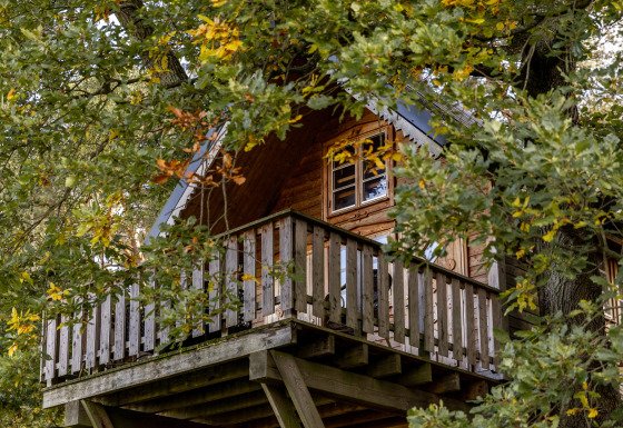Alojamiento glamping Boomhuthotel Uckermark en el bosque con terraza de madera, Boomhutten Brandenburg.