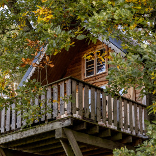 Hébergement glamping Boomhuthotel Uckermark, cabane perchée en forêt avec terrasse, Boomhutten Brandenburg.