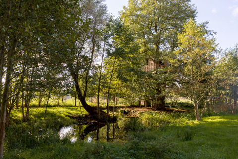 Treehouse hotel accommodation in Uckermark, Brandenburg, nestled among lush trees with a pond nearby.