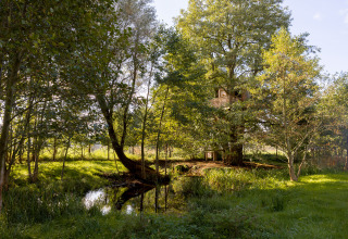 Treehouse hotel accommodation in Uckermark, Brandenburg, nestled among lush trees with a pond nearby.