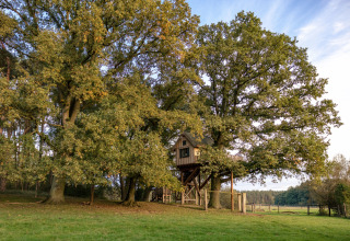 Boomhuthotel Uckermark, sistemazione glamping in casa sull’albero immersa tra alberi nella regione di Brandeburgo.
