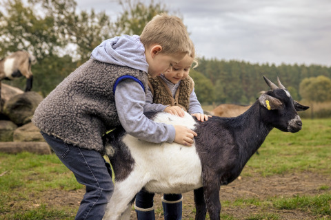 Zwei Kinder streicheln eine Ziege beim Boomhuthotel Uckermark, Glamping in Brandenburg.