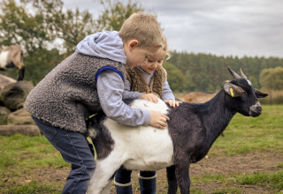 Twee kinderen aaien een geit bij Boomhuthotel Uckermark, een glampingverblijf in Brandenburg.