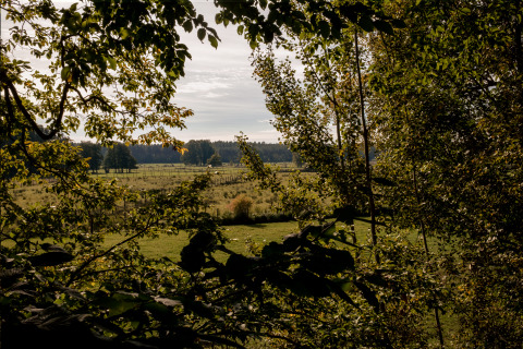 Uitzicht op groene velden en boomtoppen bij Boomhuthotel Uckermark - Boomhutten Brandenburg voor glamping.