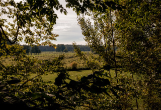 Zicht op groene velden en boomtoppen bij Boomhuthotel Uckermark - Boomhutten Brandenburg, ideaal glampen.