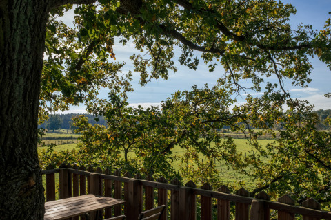 Vista dal Boomhuthotel Uckermark - Boomhutten Brandenburg tra rami di alberi e campi verdi all’orizzonte.