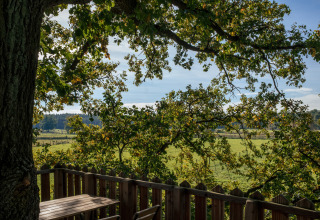 View from Boomhuthotel Uckermark - Boomhutten Brandenburg, overlooking green fields and tree branches.