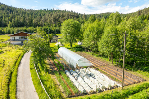 Vista aerea di Les Jardins de Biffontaine - Glampingtenten Vogezen con glamping, serra e campi vicino alla foresta.