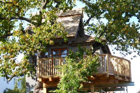 Accogliente casa sull’albero Boomhut Wesertal in Assia. Alloggio glamping immerso tra foglie verdi.