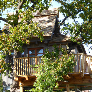 Sfeervolle boomhut Boomhut Wesertal in Hessen. Glampingverblijf omgeven door groene bladeren en bomen.