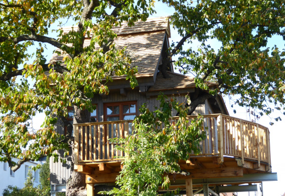 Sfeervolle boomhut Boomhut Wesertal in Hessen. Glampingaccommodatie midden tussen groene bladeren.