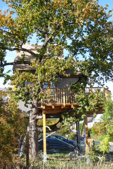 Ein Baumhaus für Glamping oder Camping, Boomhut Wesertal - Boomhutten Hessen, im grünen Laub versteckt.