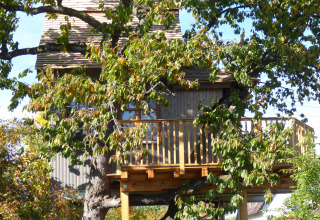 Casetta sull'albero immersa nel verde, perfetta per glamping o campeggio, Boomhut Wesertal - Boomhutten Hessen.