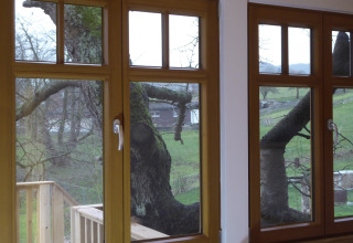 View through the windows of Boomhut Wesertal glamping, showing tree trunks growing next to the cabin.