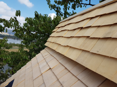 Tejado de madera de una cabaña en los árboles con vista al agua y vegetación, glamping en Hessen.