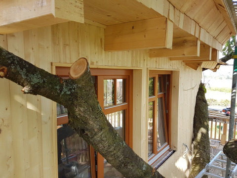 Casa sull’albero con grossi rami che attraversano le pareti di legno chiaro, vista dall’esterno con finestre.