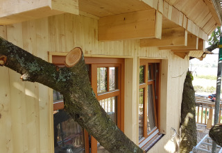 Et træhus med store grene, der vokser igennem væggene, ses udefra med lyse trævægge og vinduer.