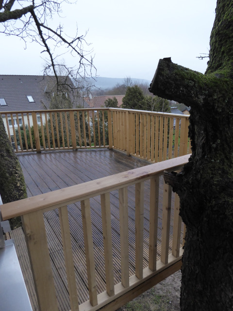 Houten terras met leuning rond een boom, glamping Boomhut Wesertal accommodatie in Hessen, Duitsland