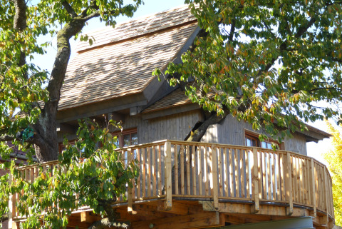 Glamping accommodation 'Boomhut Wesertal - Boomhutten Hessen', a cozy treehouse nestled among leafy branches.