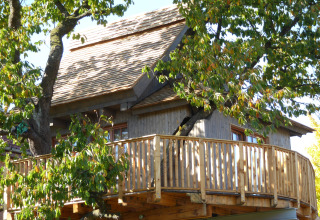 Glamping accommodation 'Boomhut Wesertal - Boomhutten Hessen', a cozy treehouse nestled among leafy branches.