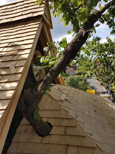 Baumhaus mit Dach, das um einen lebenden Baum gebaut ist, ideal für Glamping in Wesertal, Hessen.